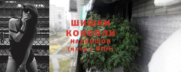 ГАЛЛЮЦИНОГЕННЫЕ ГРИБЫ Краснотурьинск