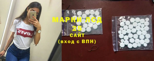 ГАЛЛЮЦИНОГЕННЫЕ ГРИБЫ Краснотурьинск