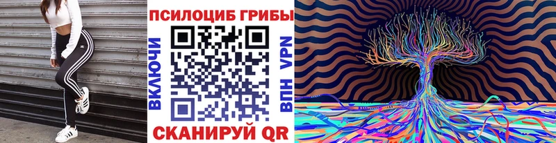 Псилоцибиновые грибы прущие грибы  Купить  Кашира 