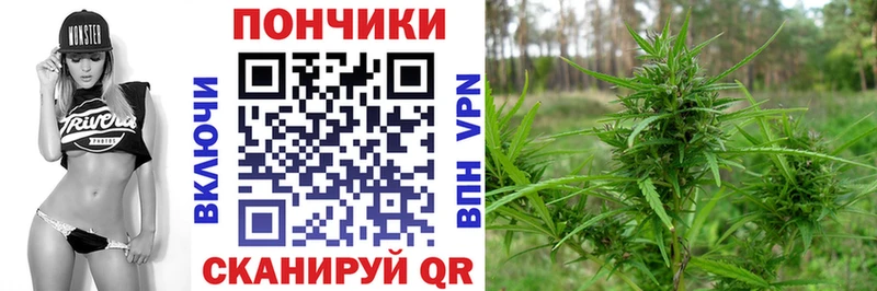 Купить где Кашира Бошки марихуана OG Kush